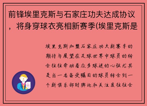 前锋埃里克斯与石家庄功夫达成协议，将身穿球衣亮相新赛季(埃里克斯是什么意思)