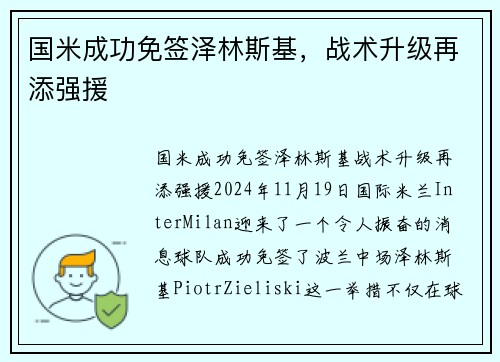 国米成功免签泽林斯基，战术升级再添强援